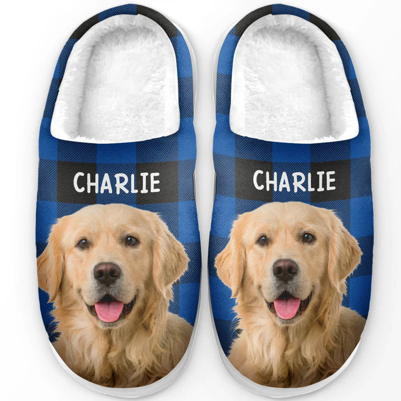 Befamtar  Pet Slippers: The Gift That Pampers Pet Lovers